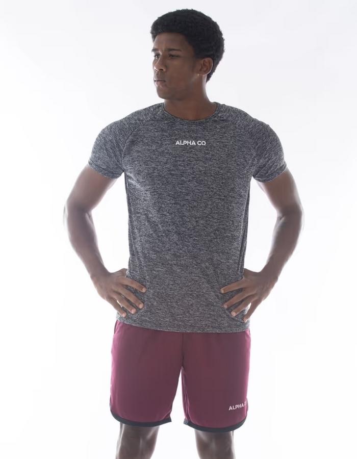 Tshirt Dry Perfomance Cinza